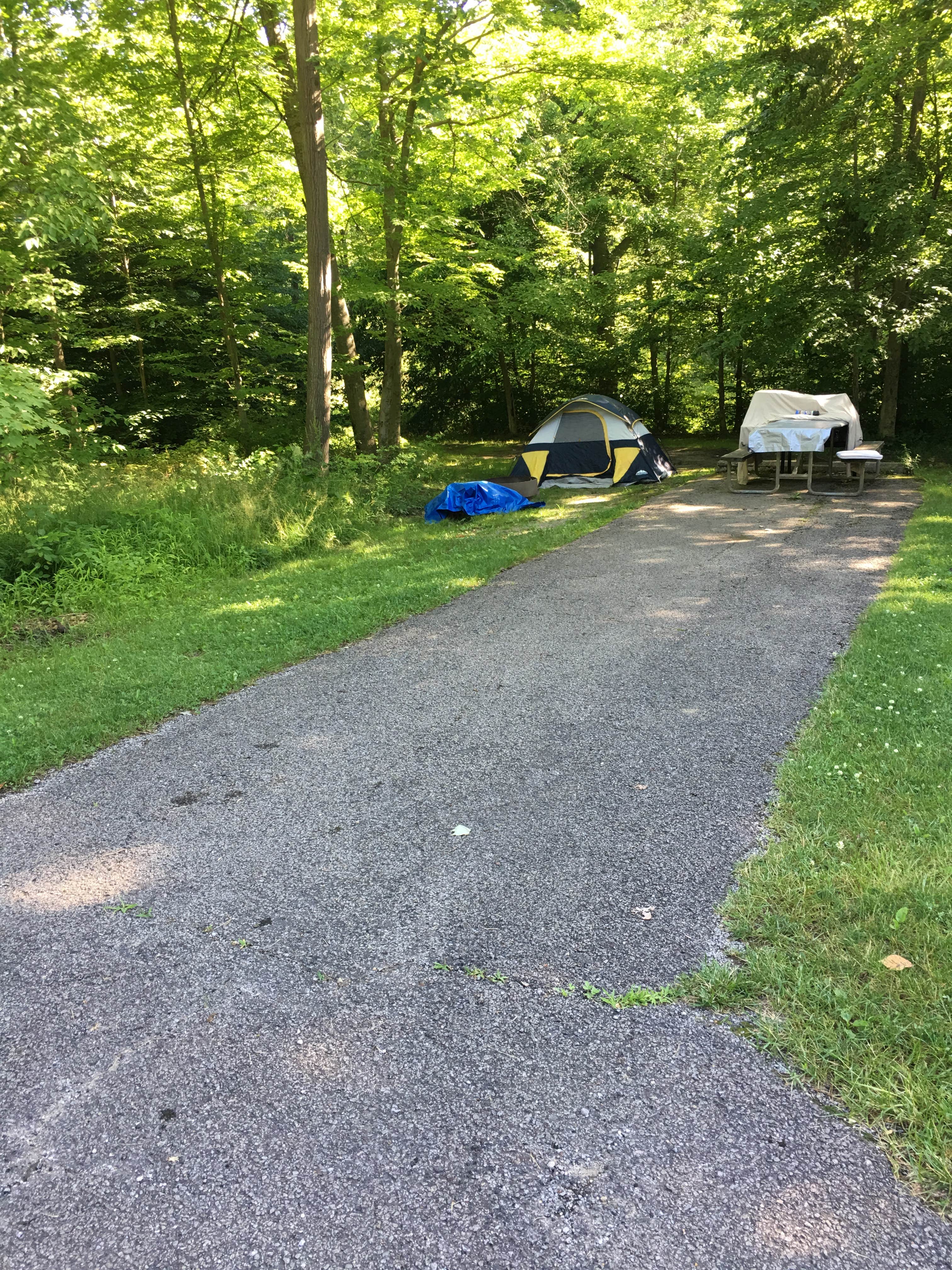Samantha  J.'s photo at Mosquito Lake State Park Campground near Transfer, PA