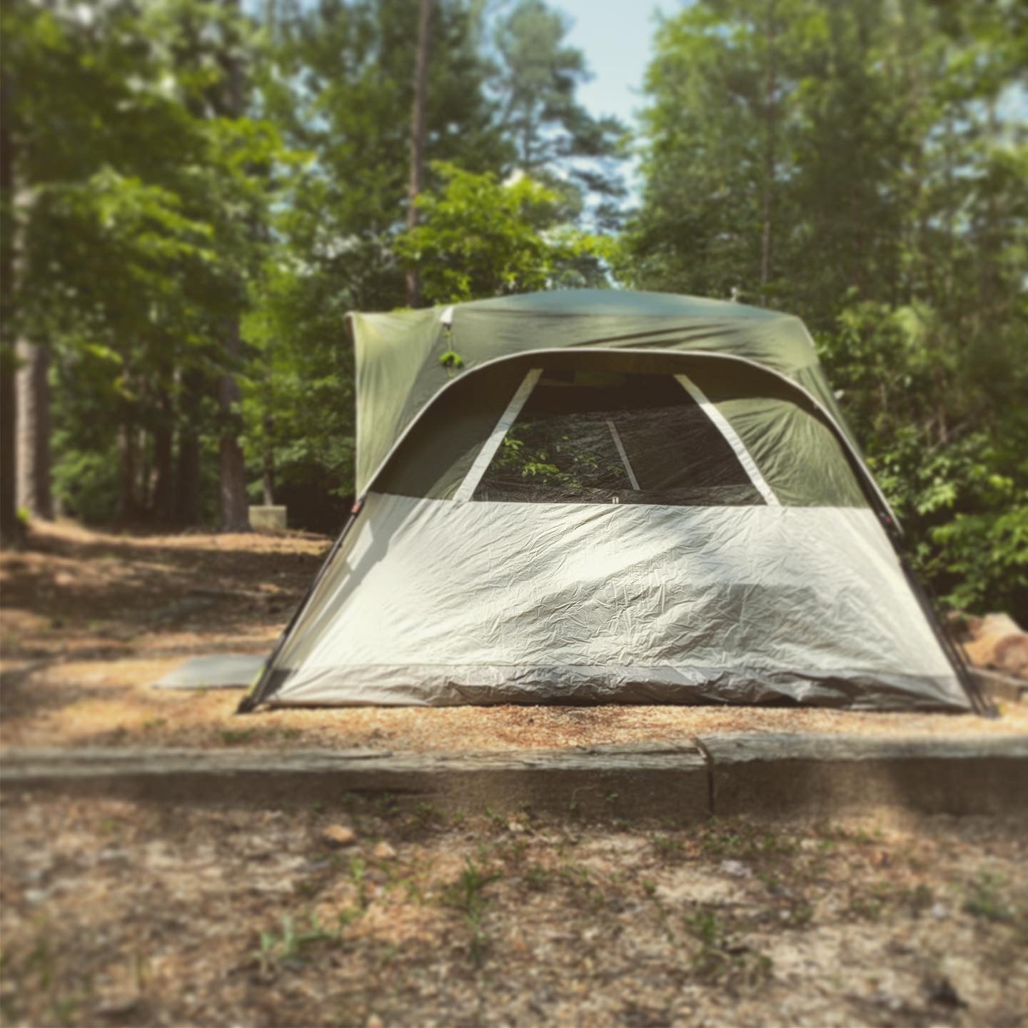 Camper submitted image from Lake Russell Recreation Area - 5