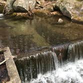 Review photo of Cranberry River Sites NF Campground by Jamie H., June 23, 2019