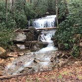 Review photo of Cranberry River Sites NF Campground by Jamie H., June 23, 2019