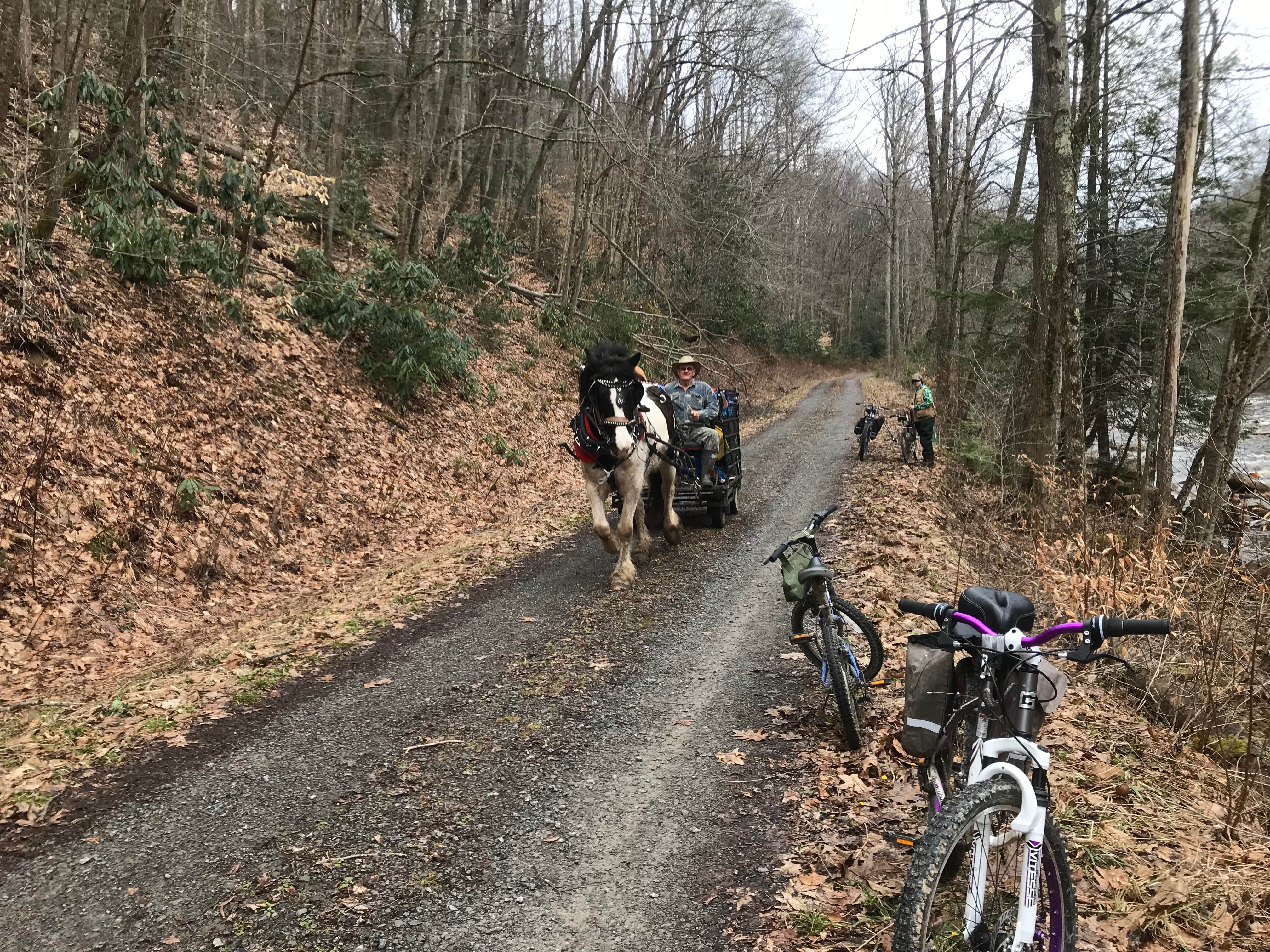 Jamie H.'s photo of camping with a horse at Cranberry River Sites NF Campground near Fayetteville, WV