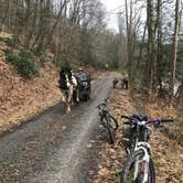 Review photo of Cranberry River Sites NF Campground by Jamie H., June 23, 2019