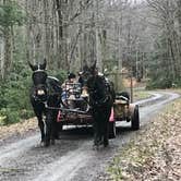 Review photo of Cranberry River Sites NF Campground by Jamie H., June 23, 2019