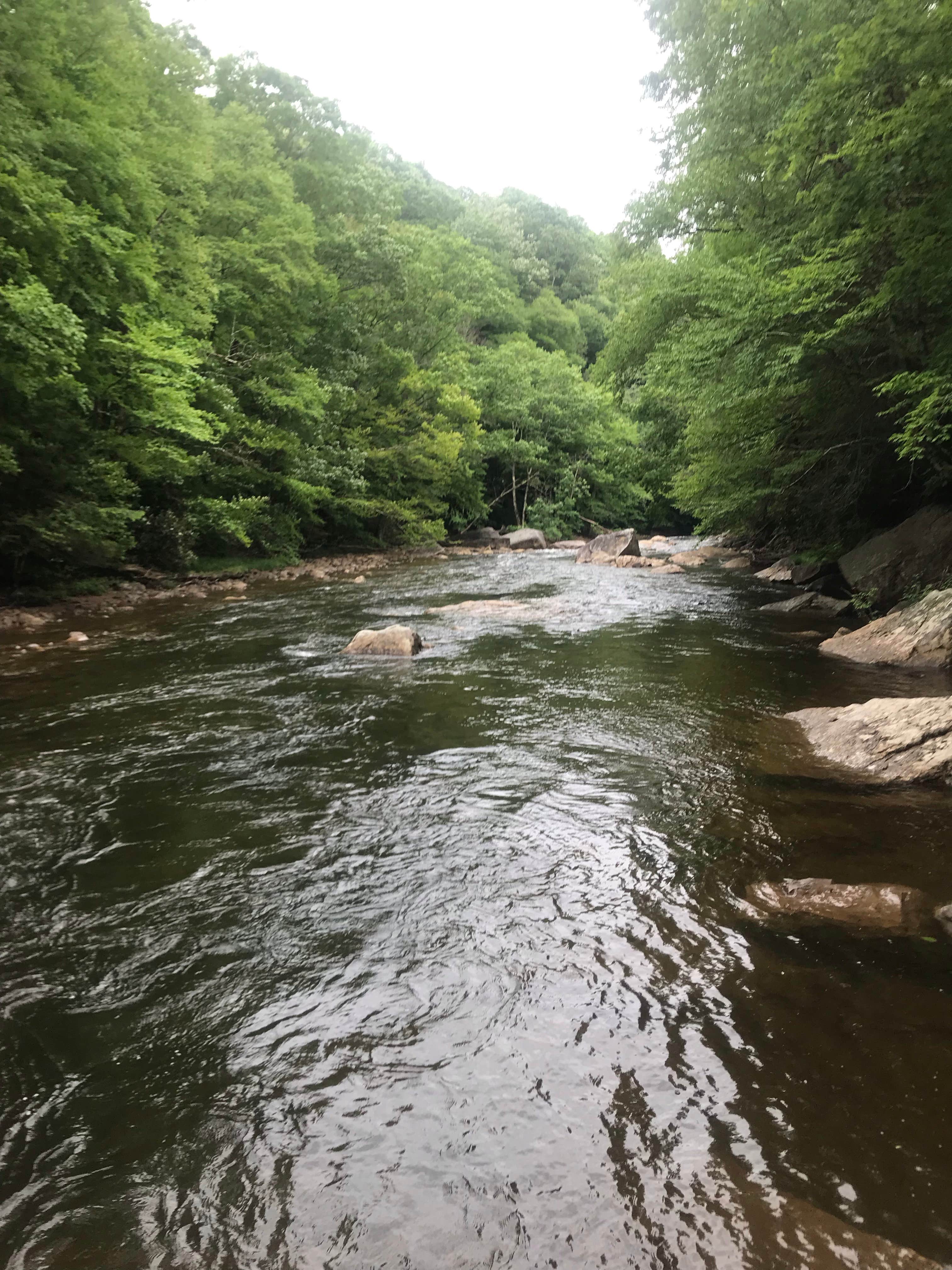 Camper-submitted photo at Cranberry River Sites NF Campground near Sandstone, WV