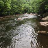 Review photo of Cranberry River Sites NF Campground by Jamie H., June 23, 2019