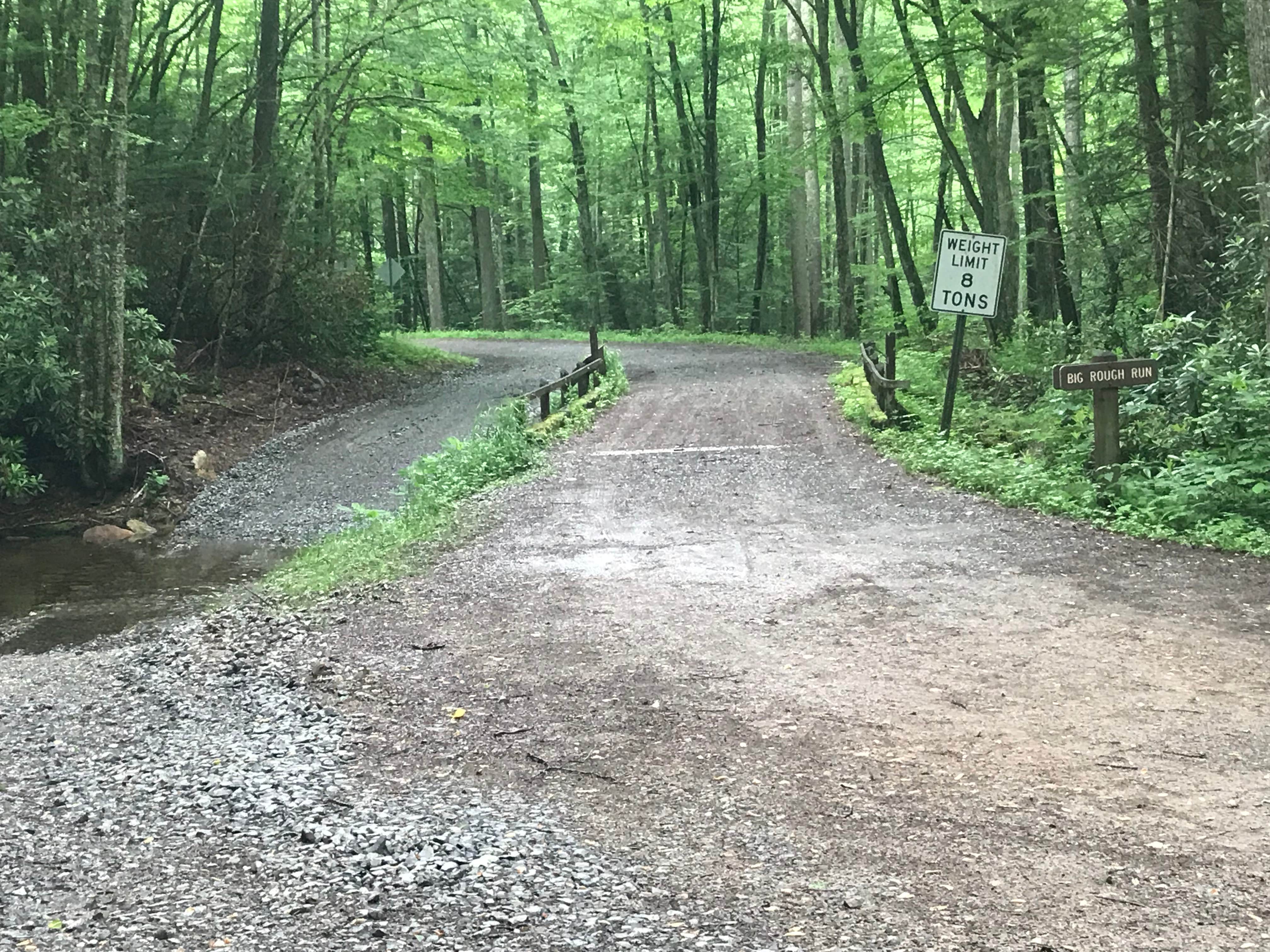 Camper-submitted photo at Cranberry River Sites NF Campground near Sandstone, WV