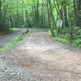 Review photo of Cranberry River Sites NF Campground by Jamie H., June 23, 2019