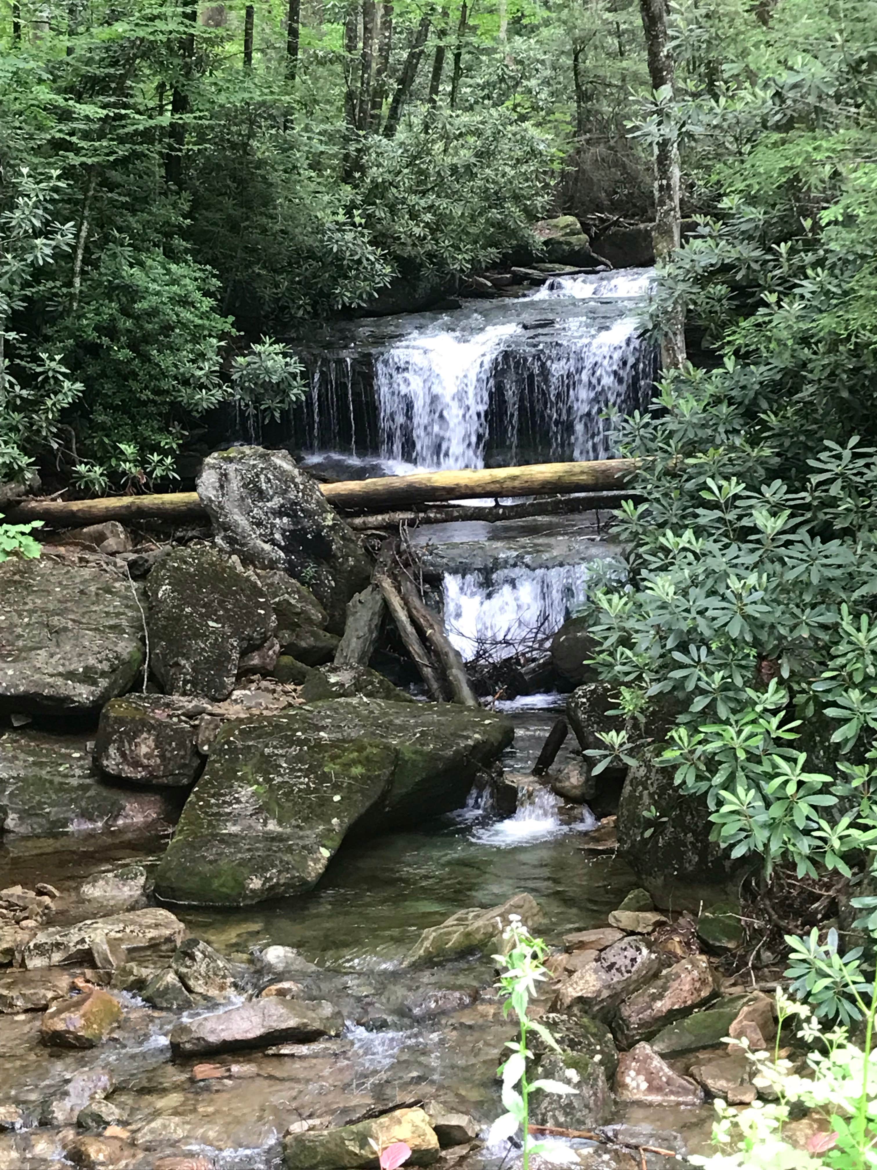 Camper-submitted photo at Cranberry River Sites NF Campground near Sandstone, WV