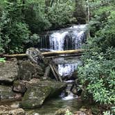 Review photo of Cranberry River Sites NF Campground by Jamie H., June 23, 2019