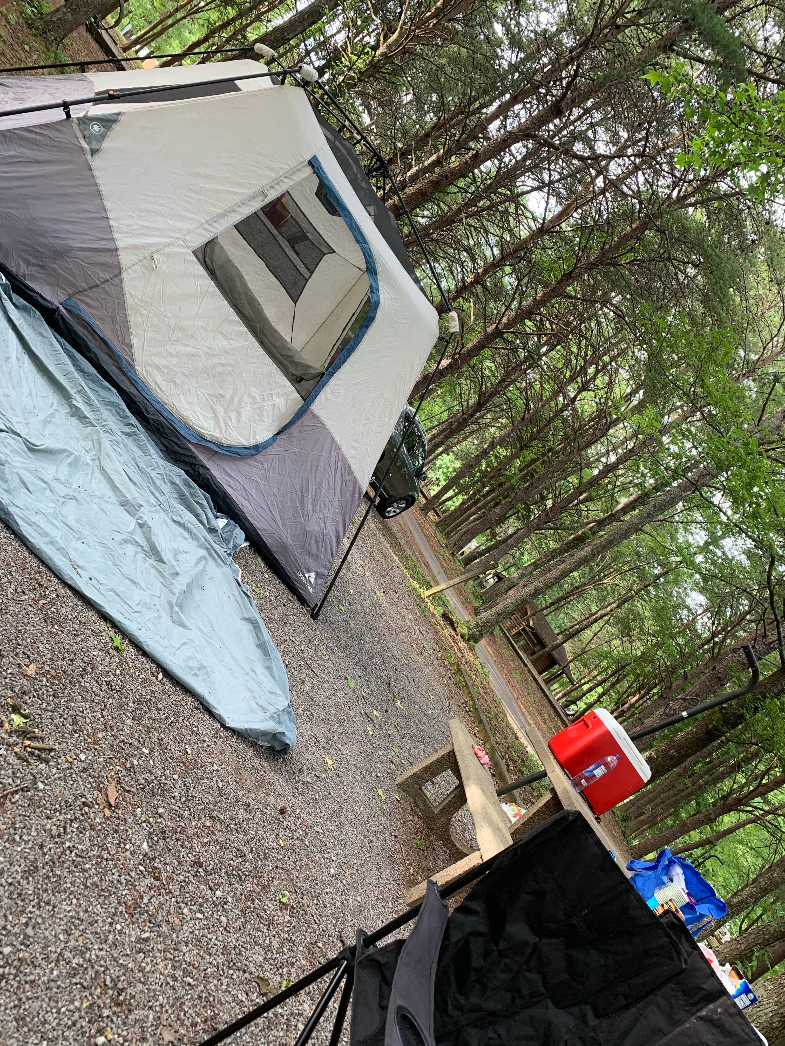 Leona M.'s photo at Piney Campground near Martin, TN