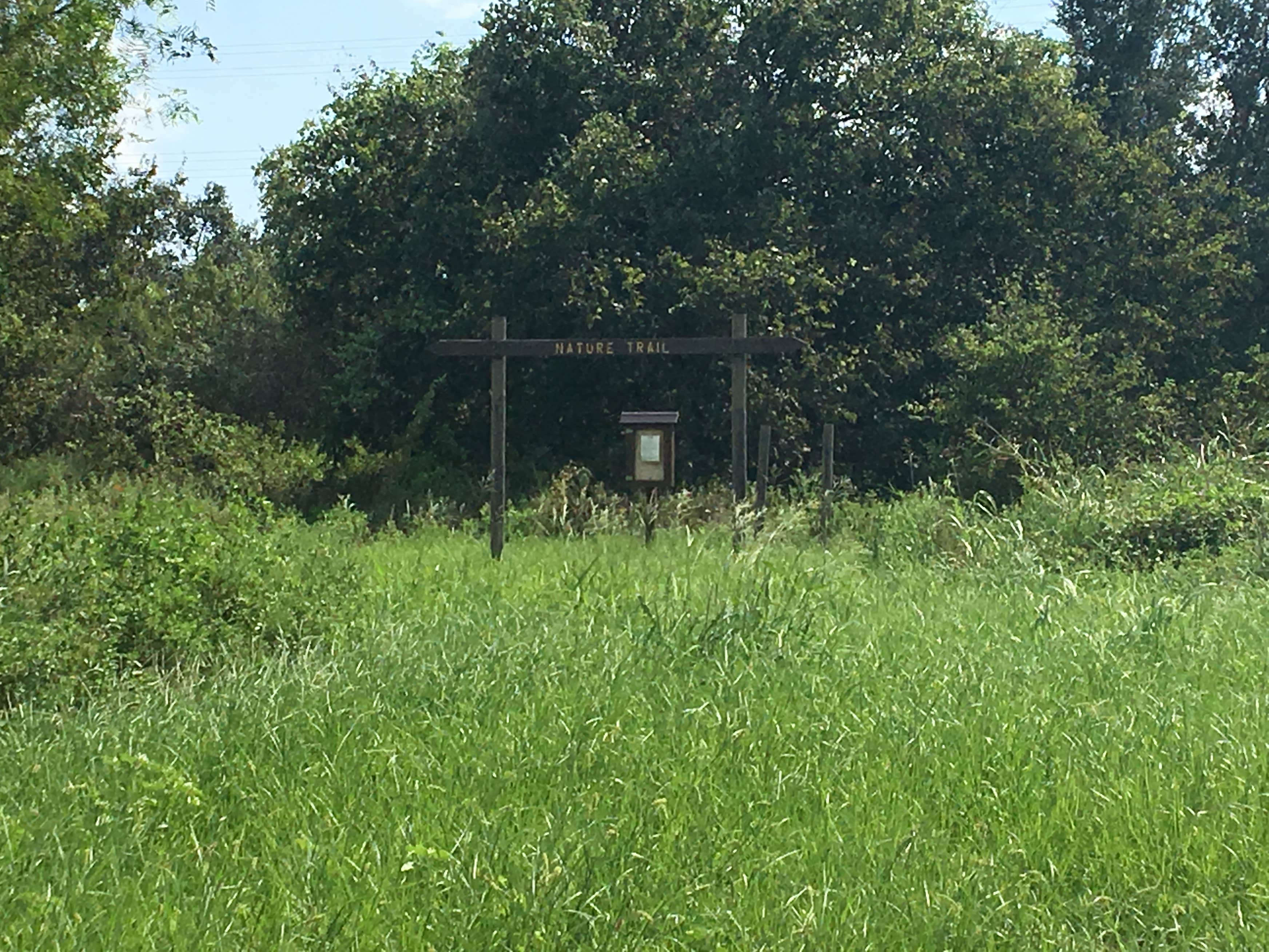 Braunig Lake Park Camping The Dyrt