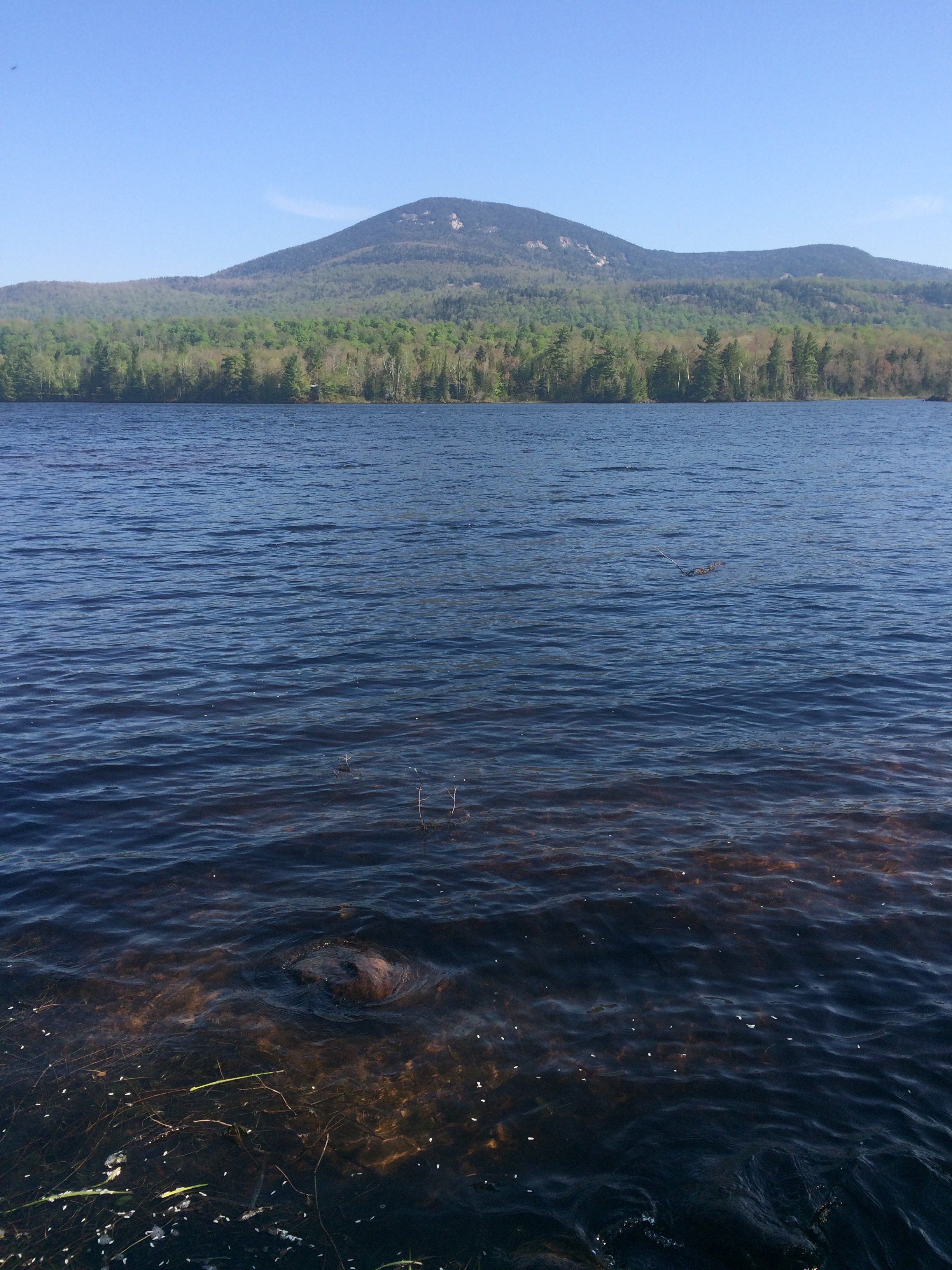 Camper submitted image from Lake Durant Adirondack Preserve - 3