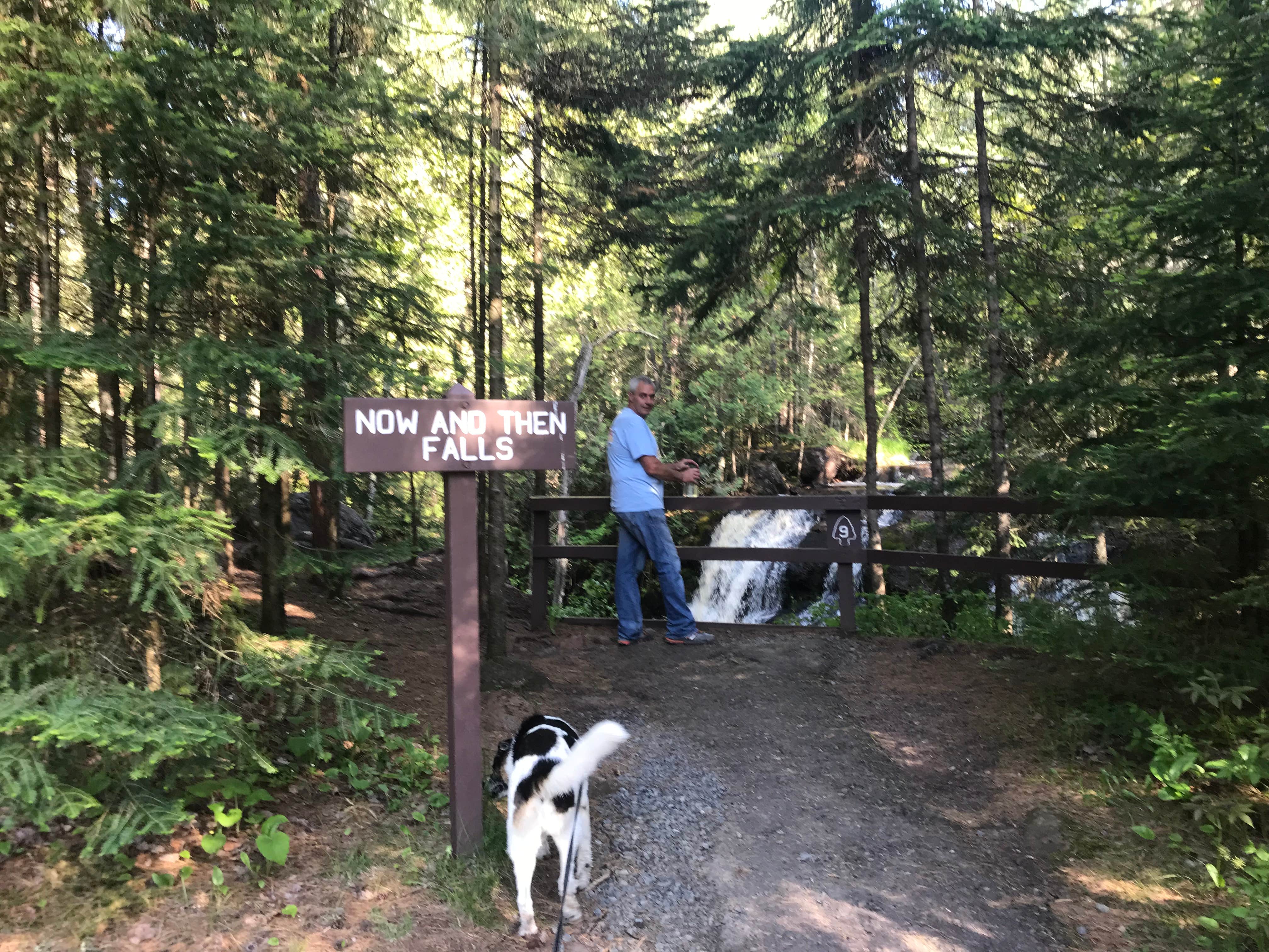 Kate B.'s photo of camping with pets at Amnicon Falls State Park Campground near Carlton, MN