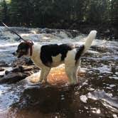 Review photo of Amnicon Falls State Park Campground by Kate B., June 23, 2019