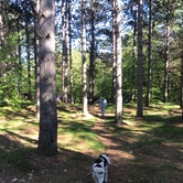 Review photo of Bay Furnace Campground by Kate B., June 23, 2019