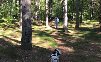 Kate B.'s photo of camping with pets at Bay Furnace Campground near Munising, MI