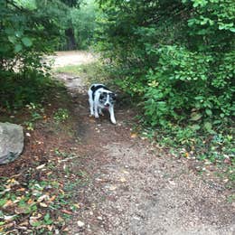 Mauthe Lake Campground — Kettle Moraine State Forest-Northern Unit-Iansr