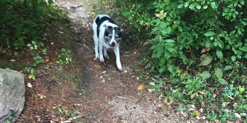 Camper submitted image from Mauthe Lake Campground — Kettle Moraine State Forest-Northern Unit-Iansr