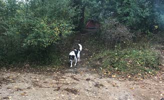 Kate B.'s photo of camping with pets at Mauthe Lake Campground — Kettle Moraine State Forest - Northern Unit near Oshkosh, WI