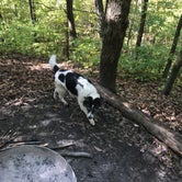 Review photo of Mauthe Lake Campground — Kettle Moraine State Forest-Northern Unit-Iansr by Kate B., June 23, 2019