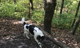 Kate B.'s photo of camping with pets at Mauthe Lake Campground — Kettle Moraine State Forest-Northern Unit-Iansr near Milwaukee, WI