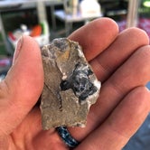 Review photo of Herkimer Diamond Mine KOA by Kelly F., June 23, 2019
