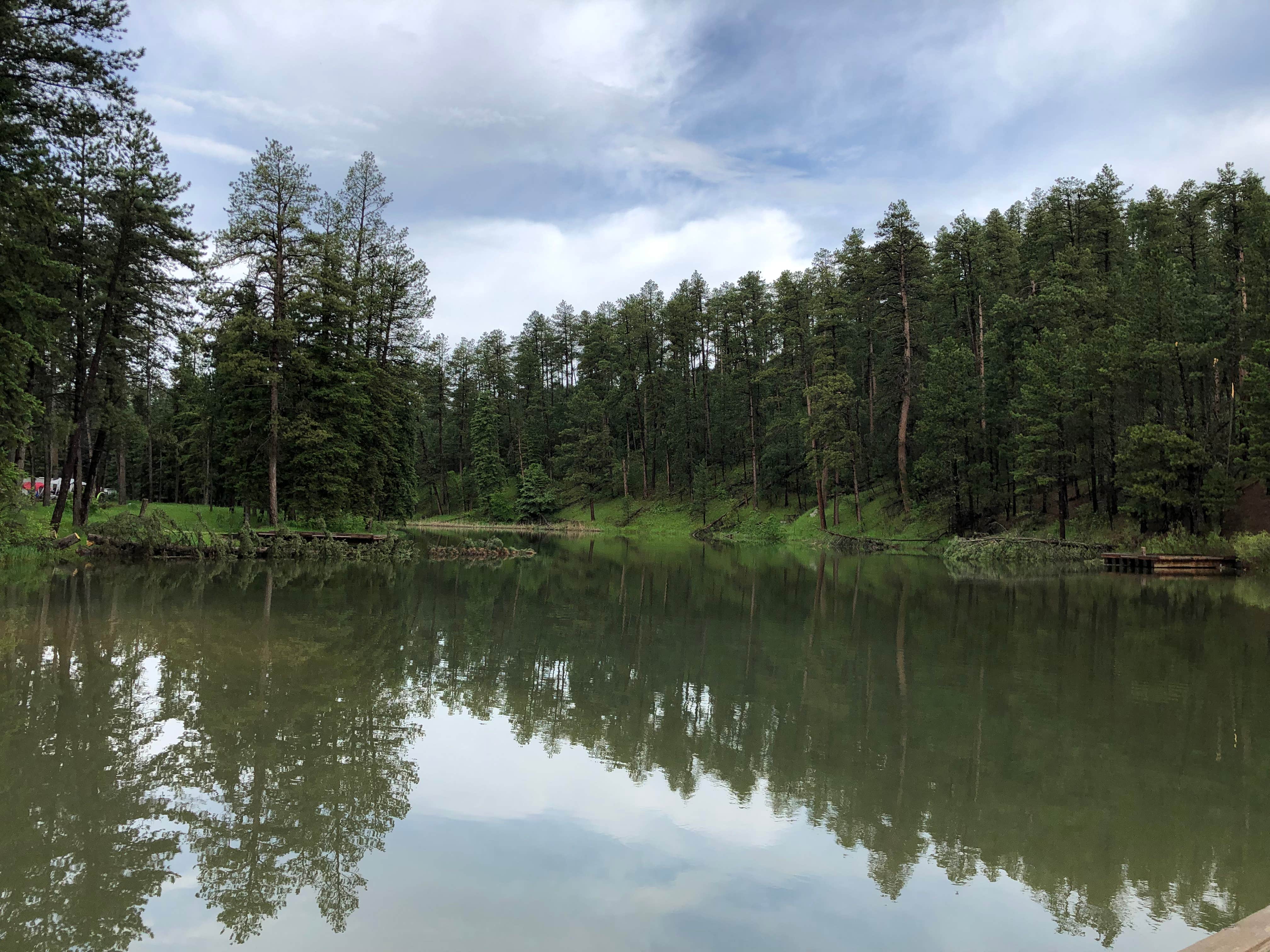 Camper submitted image from Dalton Lake Campground — Black Hills National Forest - 3