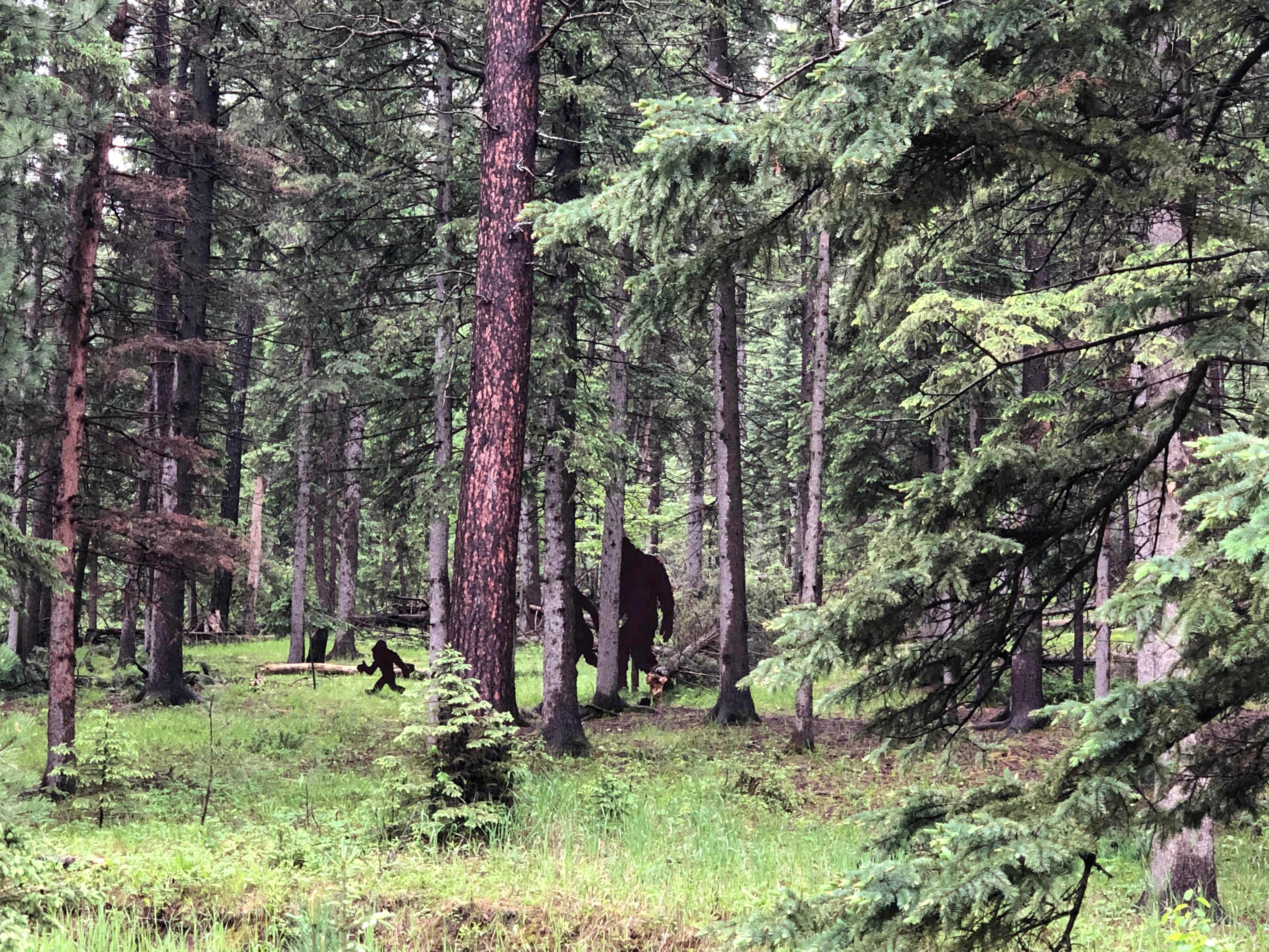 Camper submitted image from Dalton Lake Campground — Black Hills National Forest - 5