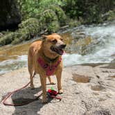 Review photo of Dalton Lake Campground by Art S., June 23, 2019