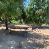 Review photo of Dripping Springs Campground by Dad & B R., June 23, 2019