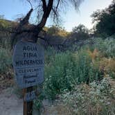 Review photo of Dripping Springs Campground by Dad & B R., June 23, 2019