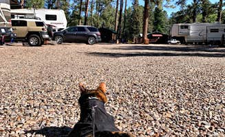 Joanna P.'s photo of camping with pets at Midtown Mountain Campground & RV Park near Nogal, NM