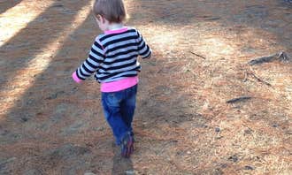 Cran-Hill Ranch Family Campground | Big Rapids, Michigan