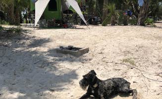 Steven L.'s photo of camping with pets at Indian Pass Campground near Port St. Joe, FL