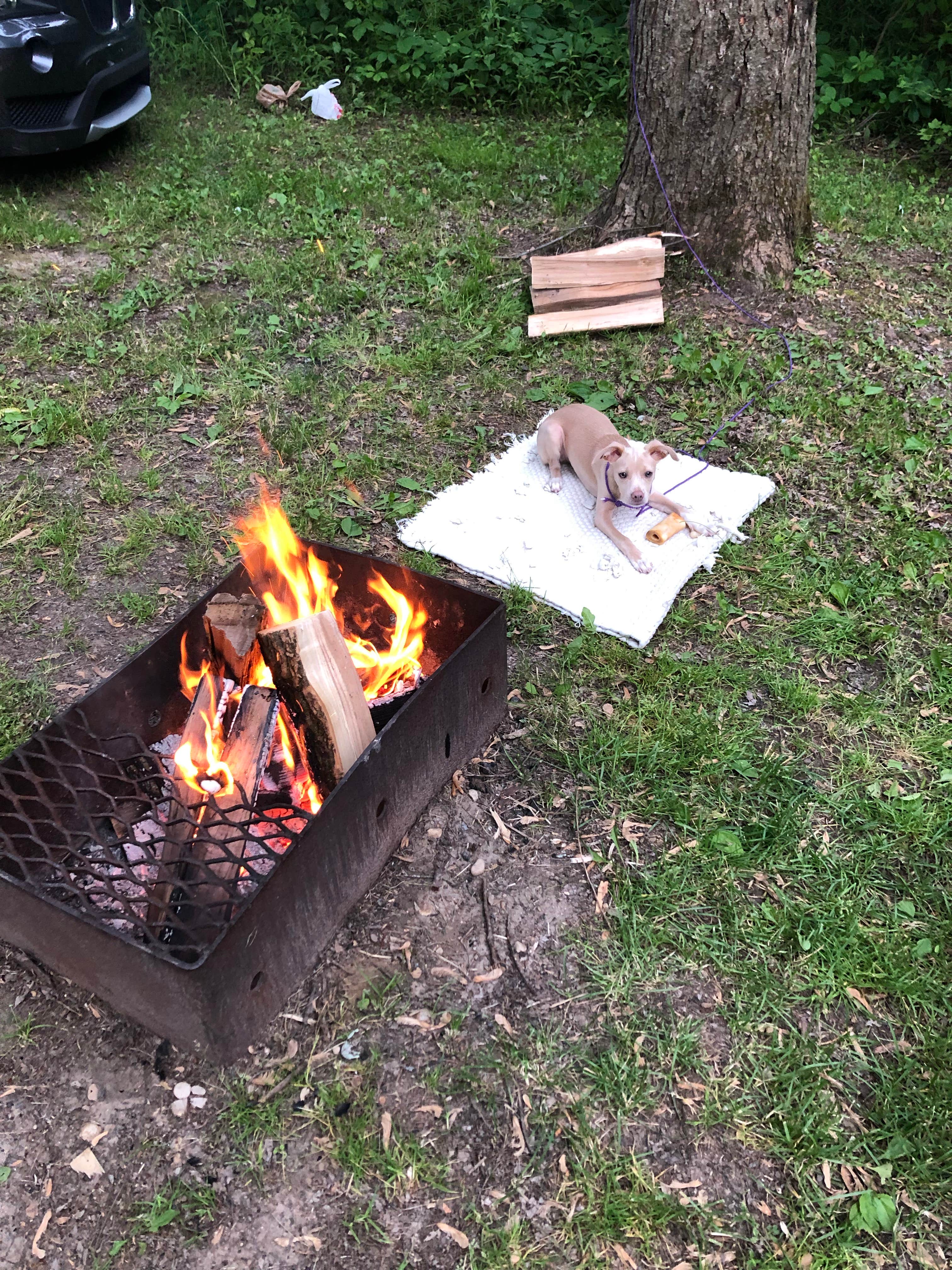 Darren L.'s photo of camping with pets at Kettle Moraine State Forest Long Lake Campground near Two Rivers, WI