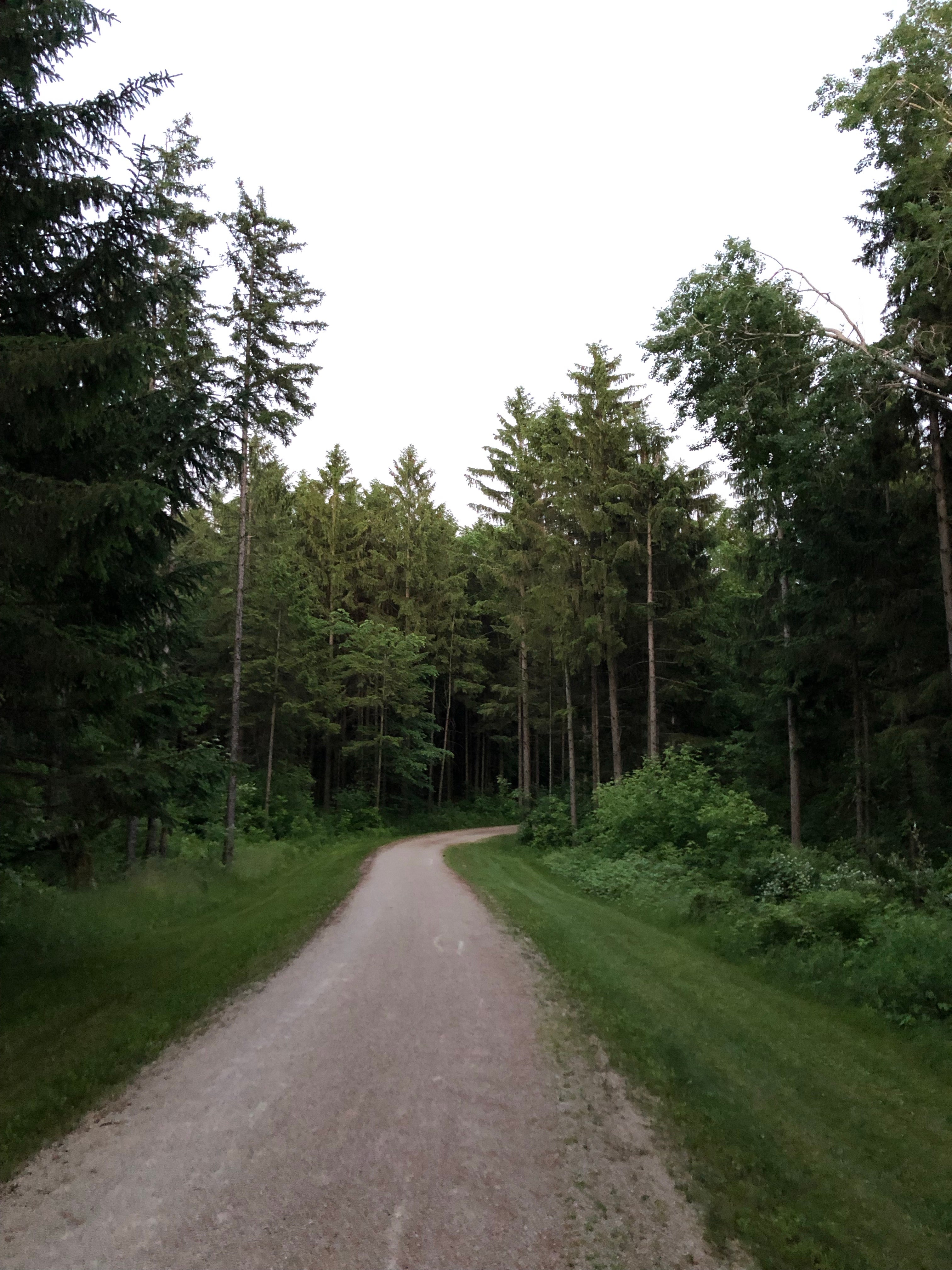 Camper submitted image from Kettle Moraine State Forest Long Lake Campground - 4