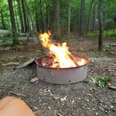 Review photo of Fall Creek Falls State Park Campground by John C., June 23, 2019