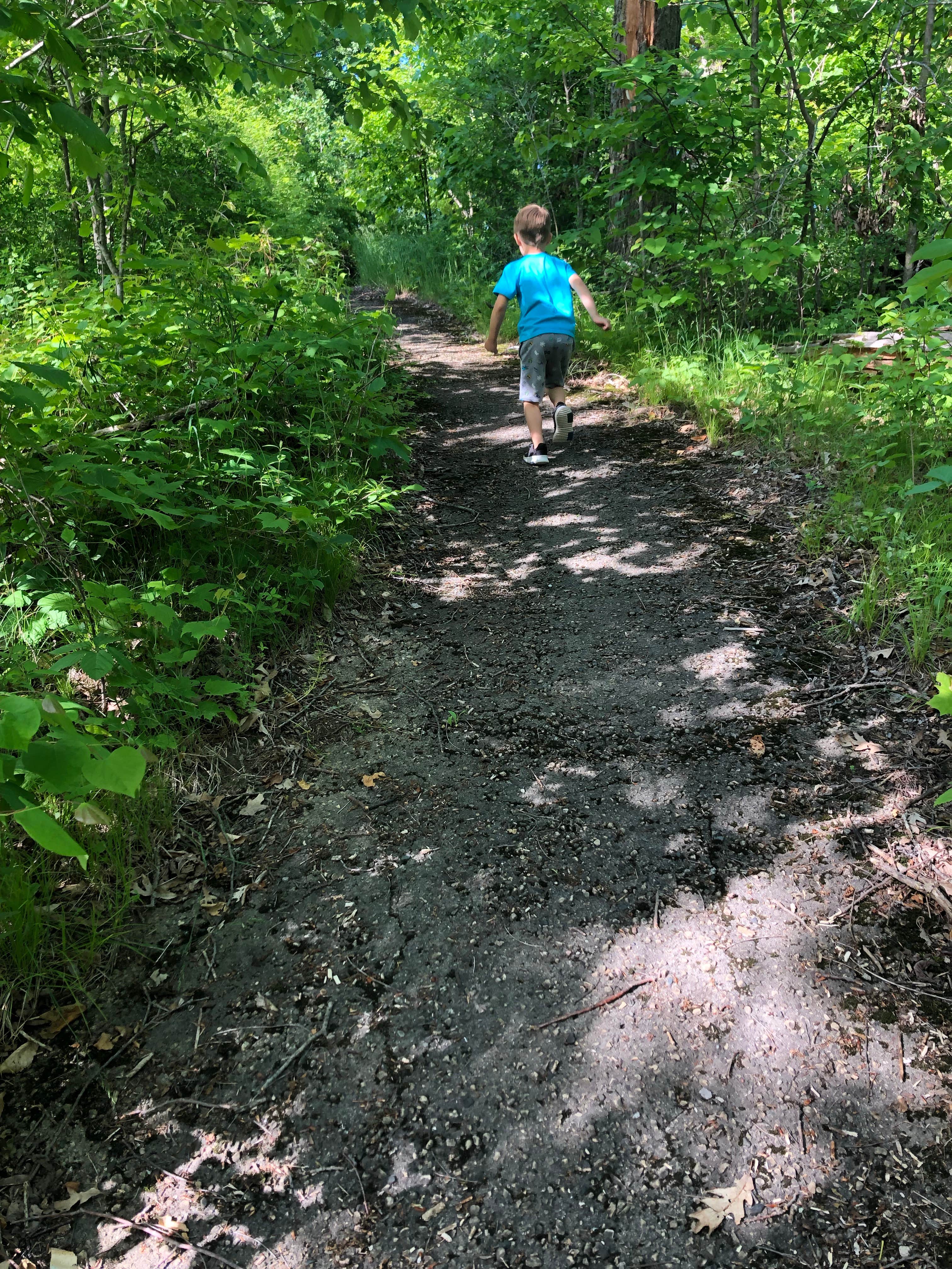 Camper submitted image from Long Lake Campground — Kettle Moraine State Forest-Northern Unit-Iansr - 4