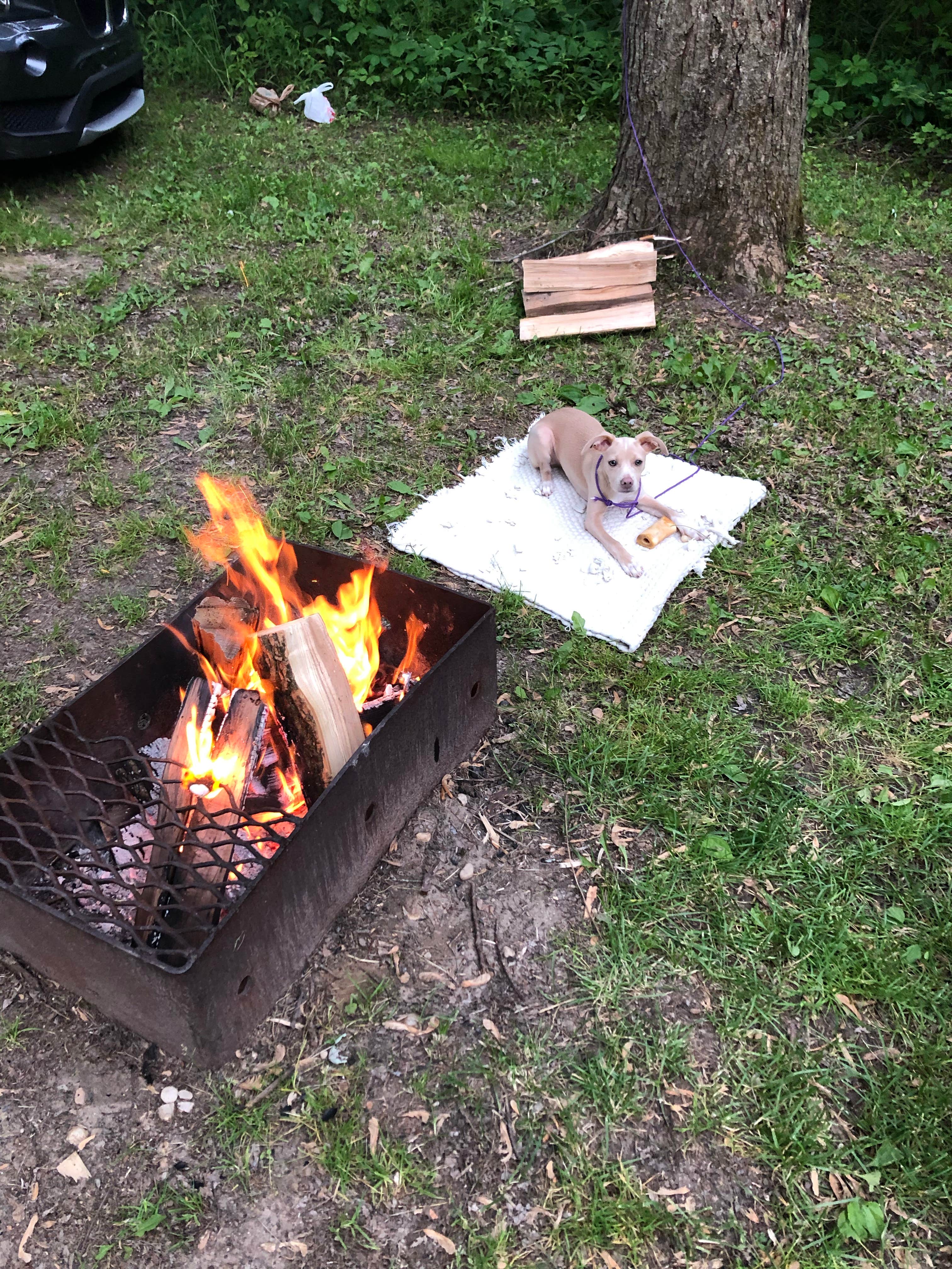 Camper submitted image from Long Lake Campground — Kettle Moraine State Forest-Northern Unit-Iansr - 2