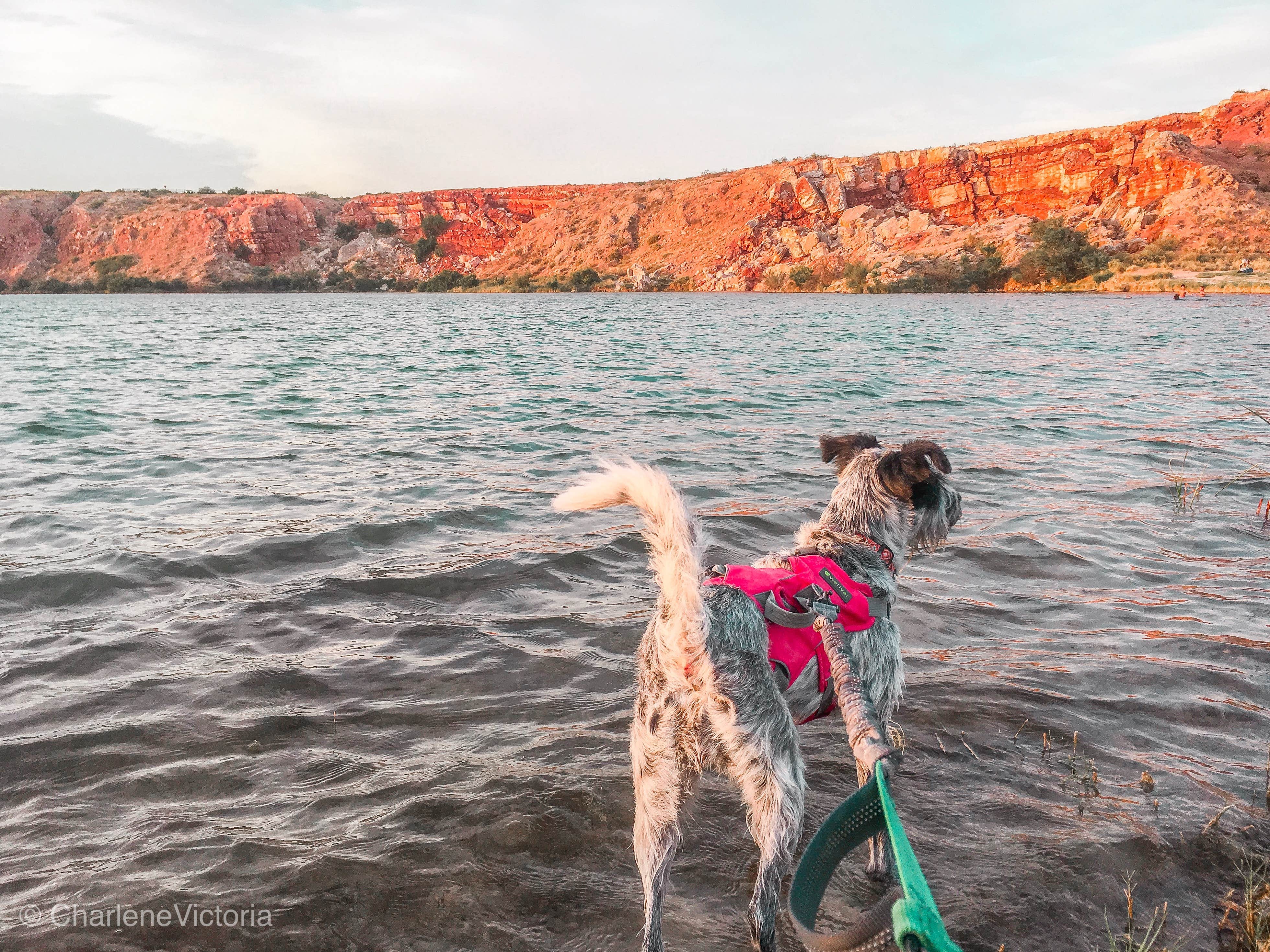 Charlene H.'s photo of camping with pets at Lea Lake Campground — Bottomless Lakes State Park near Dexter, NM