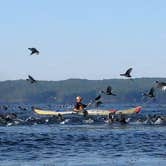Review photo of South Toledo Bend State Park Campground by Mike V., September 1, 2016