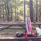 Review photo of Shawnee State Park Campground by DL W., June 23, 2019