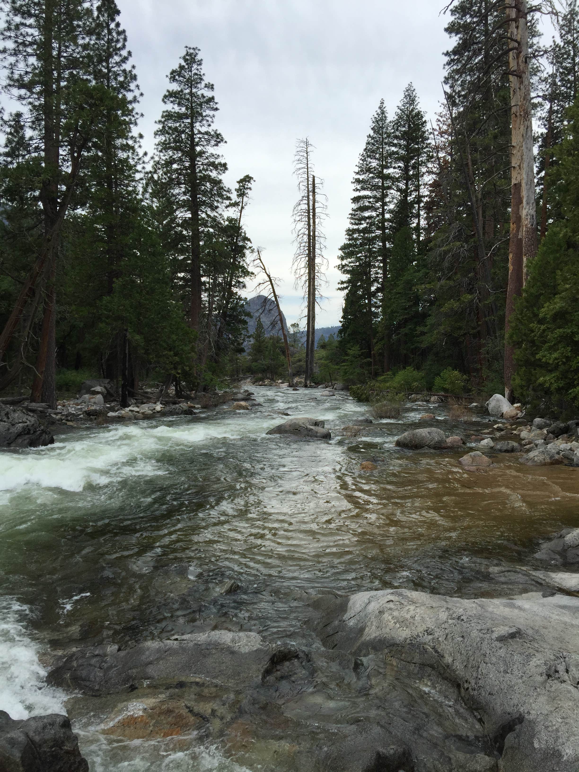 Camper submitted image from Rancheria Falls Wilderness Campground - 3