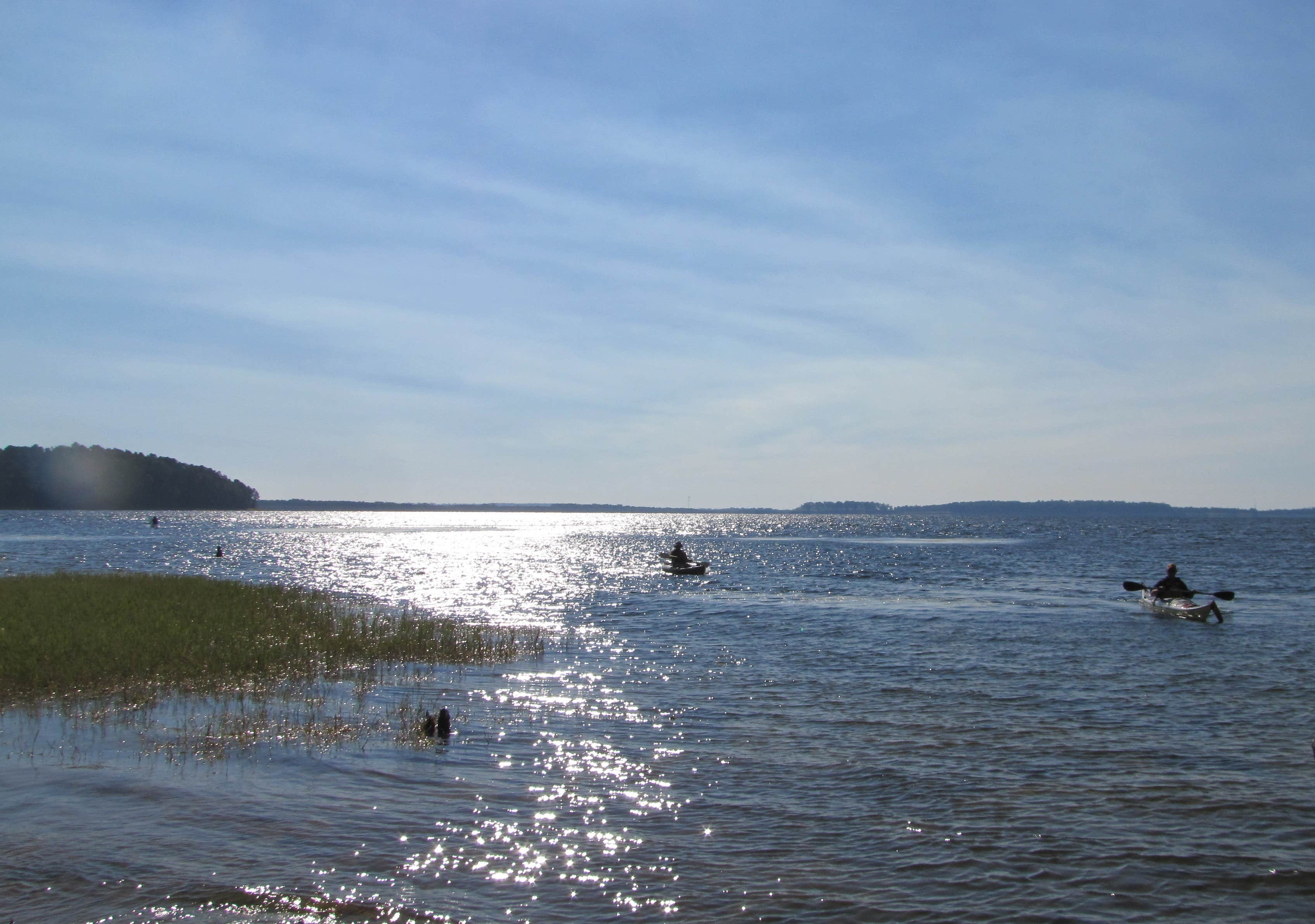 Camper submitted image from South Toledo Bend State Park Campground - 3