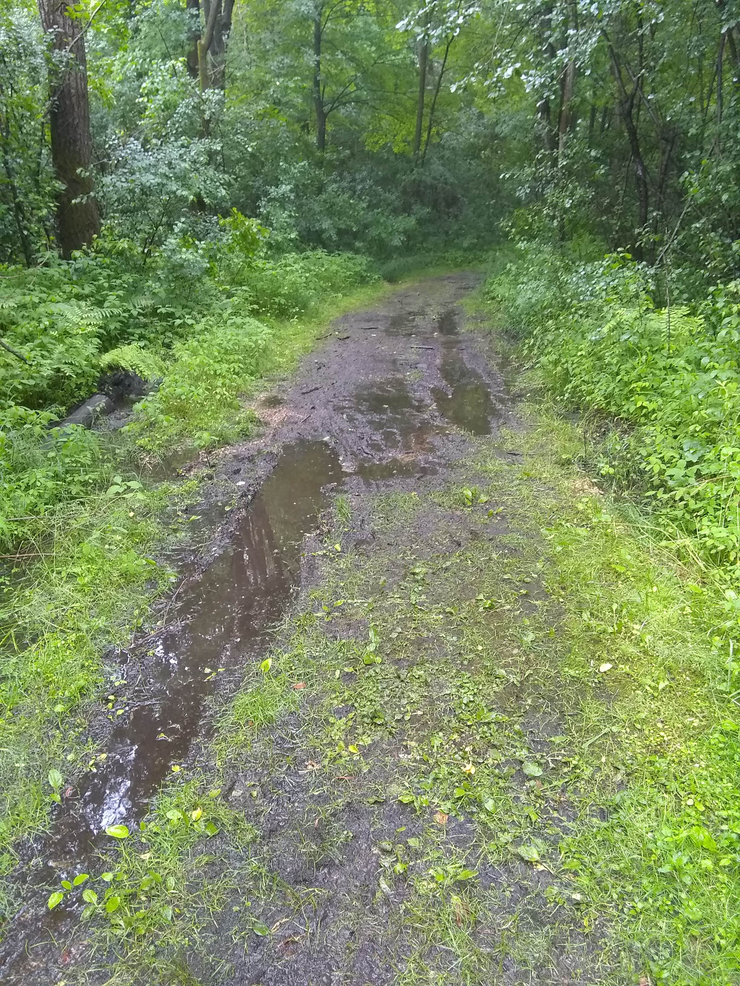 Camper-submitted photo at Sparta Campground — Elroy-Sparta State Trail near Lansing, IA