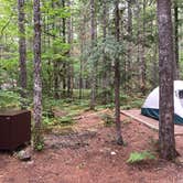 Review photo of Goodell Creek Campground — Ross Lake National Recreation Area by Christopher D., June 23, 2019