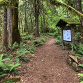 Review photo of Newhalem Creek Campground — Ross Lake National Recreation Area by Christopher D., June 23, 2019