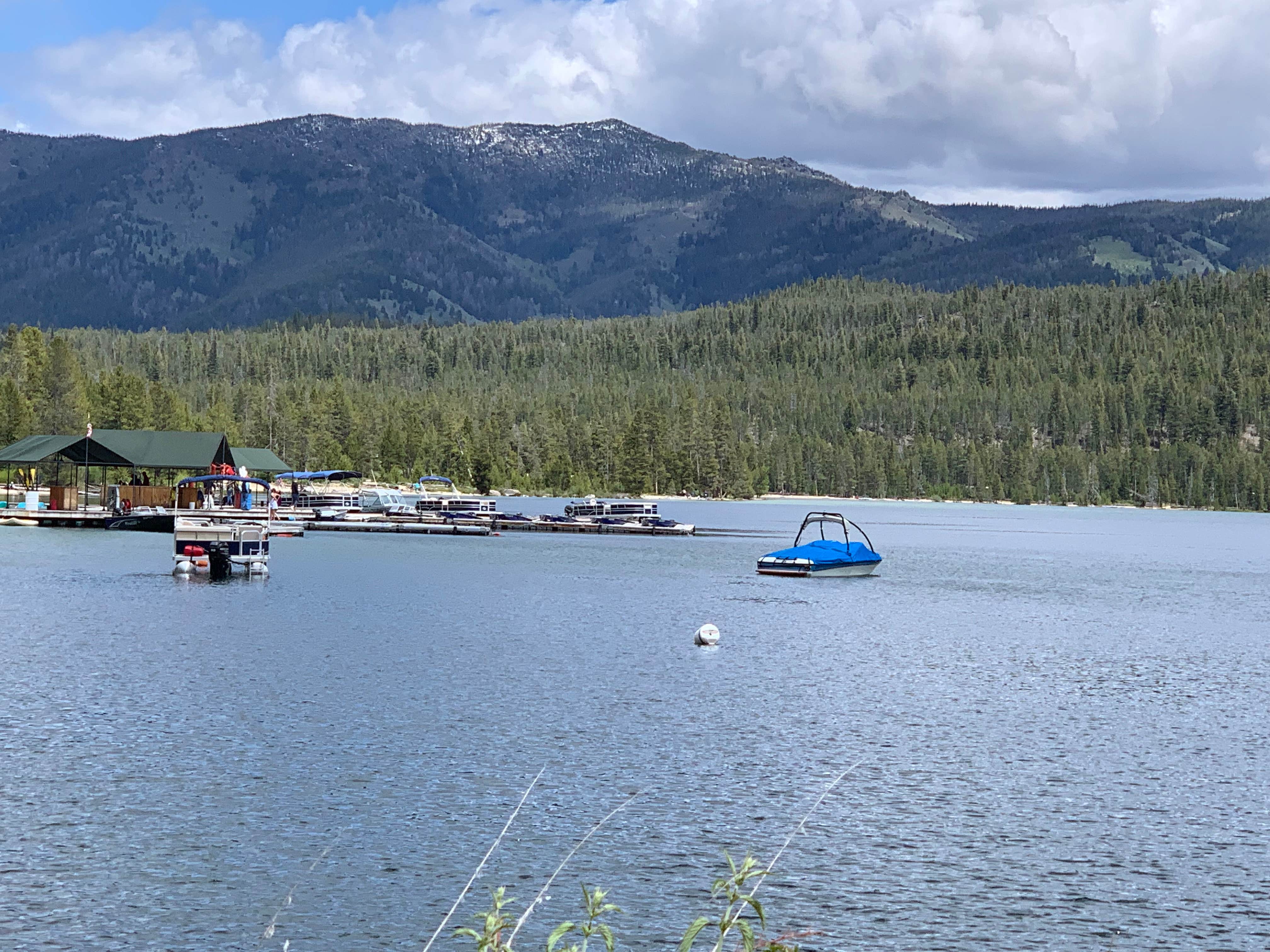 Camper-submitted photo at Outlet Campground at Redfish Lake near Stanley, ID