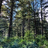 Review photo of Scout Mountain Campground by Shani C., June 24, 2019