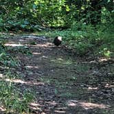 Review photo of Eklutna - Chugach State Park by Melissa F., June 24, 2019